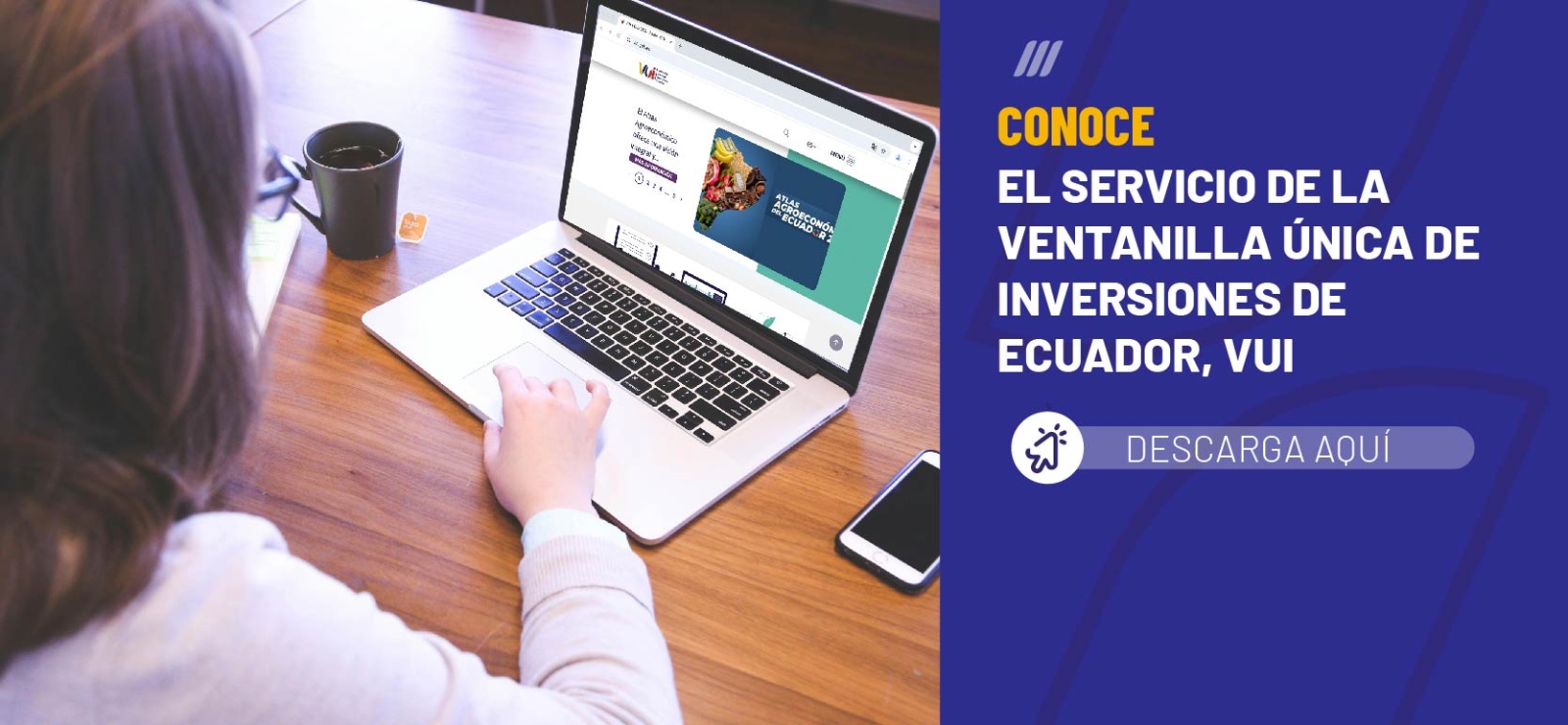 Ventanilla Única de Inversiones de Ecuador, VUI